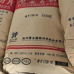 PA6 J2500Z