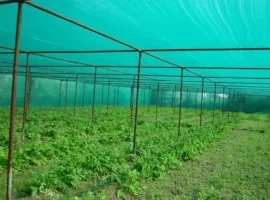 پلی اتیلن سنگین اکستروژن HDPE S5000